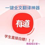 有道翻译怎么开启双语对照？
