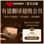 有道翻译插件有哪些快捷操作？
