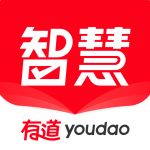 有道翻译怎么检查语法错误？